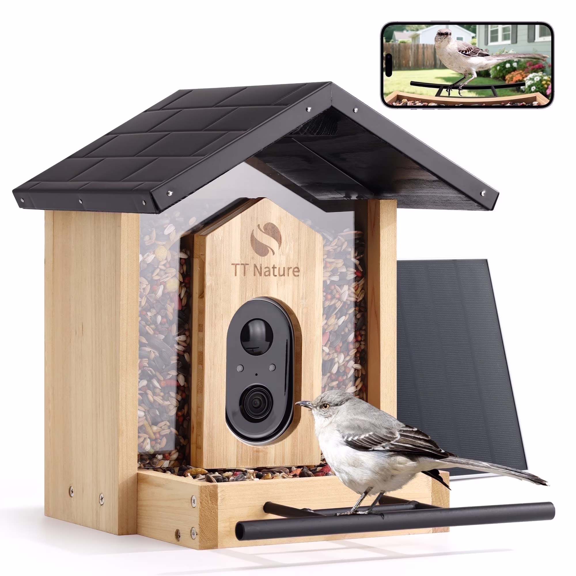 Bird Feeders